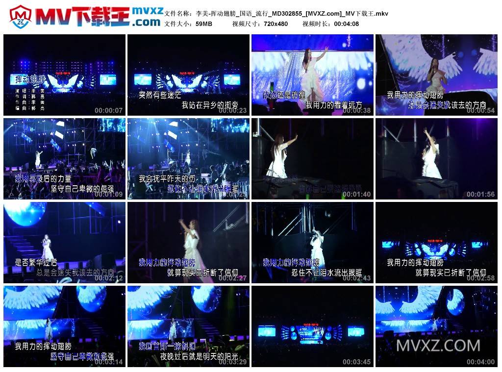 李美-挥动翅膀_国语_流行_MD302855